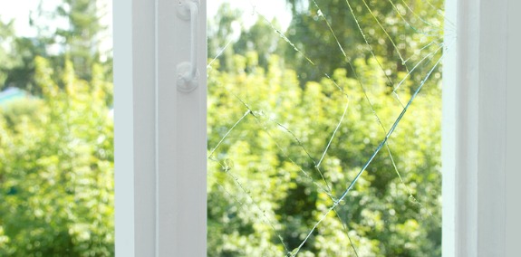 Window Repair Morton IL